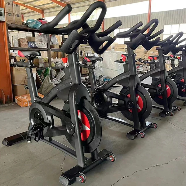 Bicicletta da ciclismo profess - Exercise Bike Magnetic Resistance recensione e prezzo